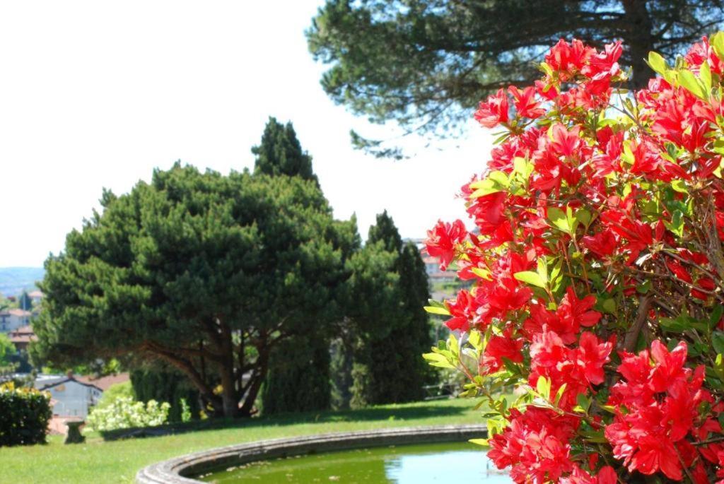 Villa Rossini Tavernerio Екстериор снимка